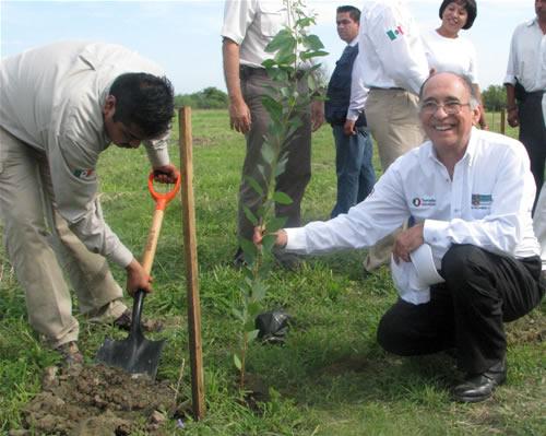 Reforestan Estado y Conafor 107 hectáreas